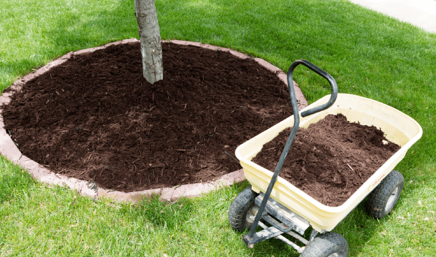 River Art Landscaping Design